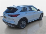 2023 QX50 Thumbnail 5