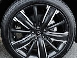 2023 QX50 Thumbnail 10