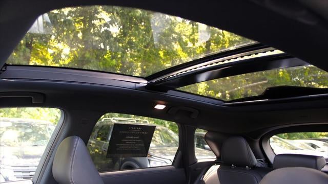 2023 INFINITI QX50 Sport