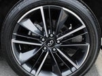 2023 QX55 Thumbnail 13