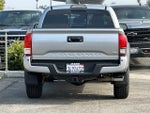 2019 Tacoma Thumbnail 4