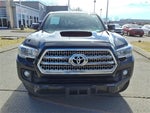2016 Tacoma Thumbnail 19