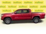 2019 Tacoma Thumbnail 12