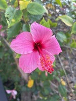 2021 Tacoma Thumbnail 25