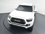 2019 Tacoma Thumbnail 31