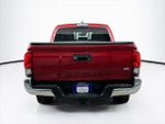 2019 Tacoma Thumbnail 15