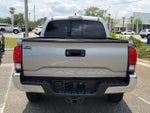 2019 Tacoma Thumbnail 9