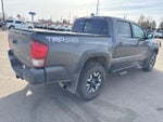 2017 Tacoma Thumbnail 10