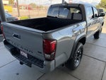 2019 Tacoma Thumbnail 4