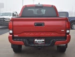 2019 Tacoma Thumbnail 6