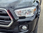 2019 Tacoma Thumbnail 3