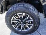2023 Tacoma Thumbnail 12