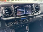 2021 Tacoma Thumbnail 20