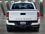 2021 Tacoma Thumbnail 11