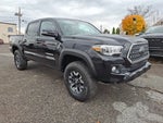 2019 Tacoma Thumbnail 6