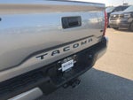 2019 Tacoma Thumbnail 28