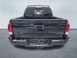 2019 Tacoma Thumbnail 3