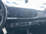 2019 Tacoma Thumbnail 8