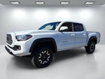 2023 Tacoma Thumbnail 23