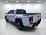 2023 Tacoma Thumbnail 24