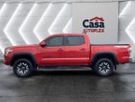 2023 Tacoma Thumbnail 5