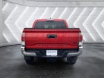 2023 Tacoma Thumbnail 10