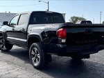 2019 Tacoma Thumbnail 5