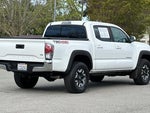 2023 Tacoma Thumbnail 4