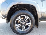 2019 Tacoma Thumbnail 13