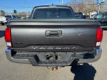 2019 Tacoma Thumbnail 3