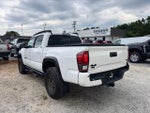 2023 Tacoma Thumbnail 8