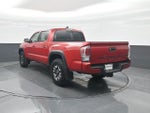 2023 Tacoma Thumbnail 22