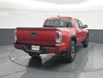 2023 Tacoma Thumbnail 25