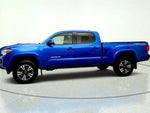 2017 Tacoma Thumbnail 8