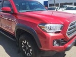 2017 Tacoma Thumbnail 4