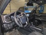 2019 Tacoma Thumbnail 20