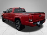 2017 Tacoma Thumbnail 6