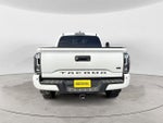 2019 Tacoma Thumbnail 4
