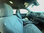 2019 Tacoma Thumbnail 11