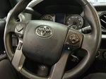 2017 Tacoma Thumbnail 18
