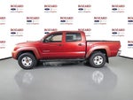2008 Tacoma Thumbnail 7