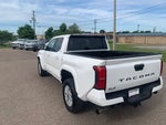 2025 Tacoma Thumbnail 5