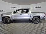2026 Tacoma Thumbnail 4