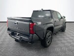 2025 Tacoma Thumbnail 7