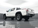 2023 Tacoma Thumbnail 23