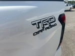 2025 Tacoma Thumbnail 6