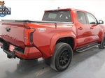 2024 Tacoma Thumbnail 8