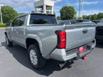 2024 Tacoma Thumbnail 10