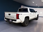2024 Tacoma Thumbnail 5