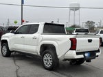 2024 Tacoma Thumbnail 19